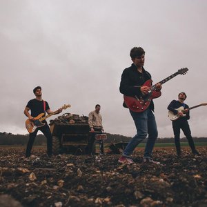 Avatar for Dutch Criminal Record