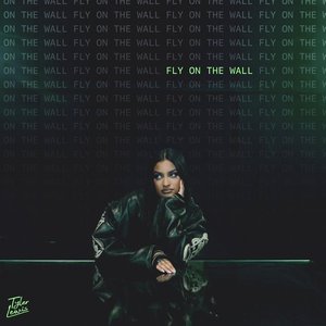 fly on the wall - Single