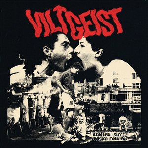 VILTGEIST 的头像
