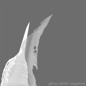 glass plate negative