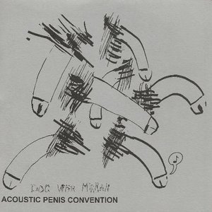 Acoustic Penis Convention