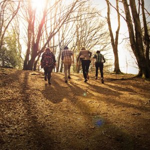 John Blek & The Rats 的头像