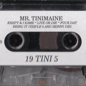19-Tini-5