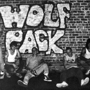 NY Wolfpack 的头像