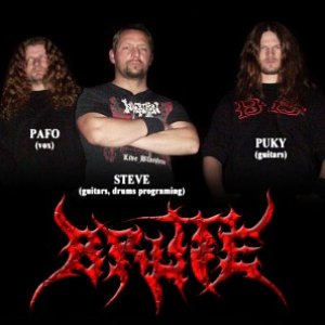 Brute 的头像