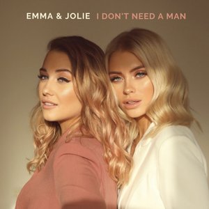 I Don't Need a Man