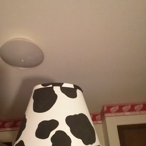 Avatar för Cowlamp