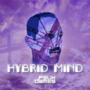 Hybrid Mind