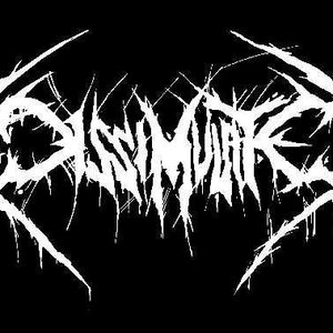 Dissimulate 的头像