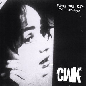 What You Say (feat. Zella Day) - Single