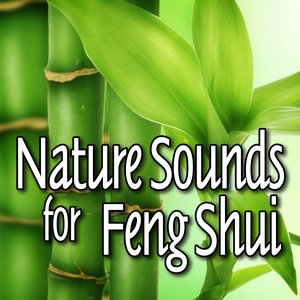 Nature Sounds for Feng Shui