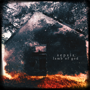 Lamb Of God - Sepsis Lyrics - Zortam Music