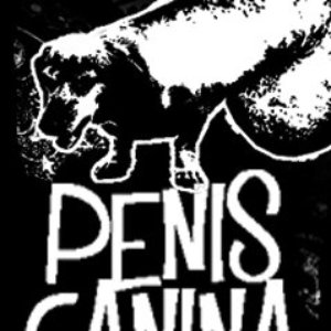 Avatar for Penis Canina