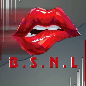 B.S.N.L
