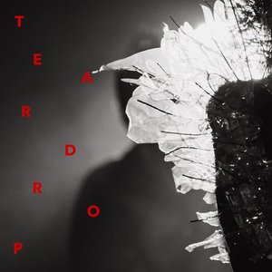 Teardrop