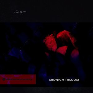 Midnight Bloom