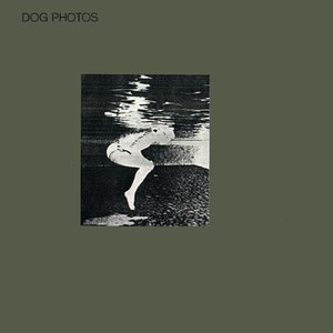 Dog Photos