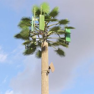 Nicholas Roehl's Album