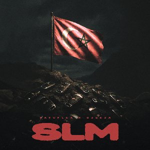 SLM