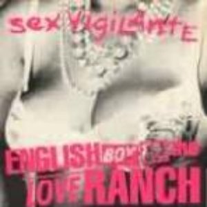 Sex Vigilante