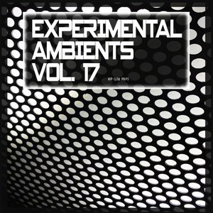 Experimental Ambients, Vol. 17