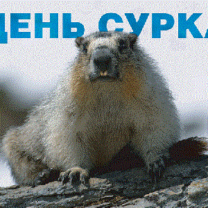 Avatar for Бригада С-Дорожная