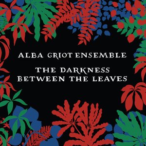 The Darkness Between The Leaves