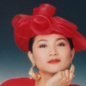 fong fei-fei のアバター