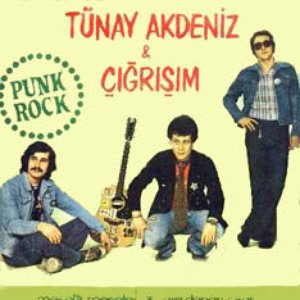 Avatar for Tunay Akdeniz and Gigrisim