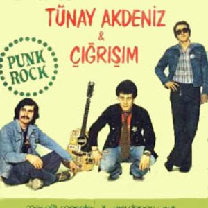 Tunay Akdeniz and Gigrisim 的头像