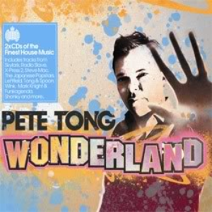 Pete Tong - Winter Wonderland - Zortam Music
