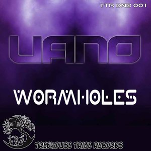 Wormholes