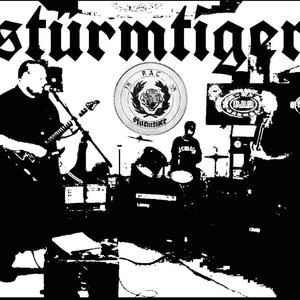 Stürmtiger 的头像