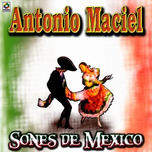 Sones De Mexico