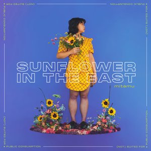 sunflower in the east