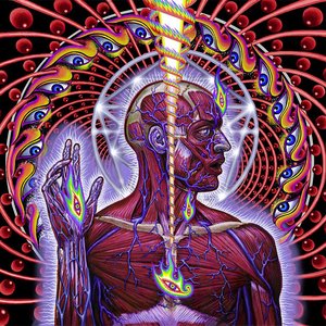 'Lateralus'の画像