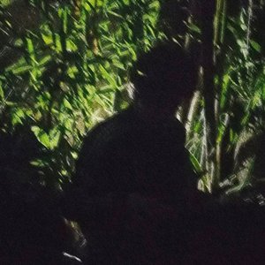 P E P E için avatar