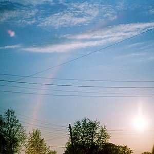 i am the morning 的头像