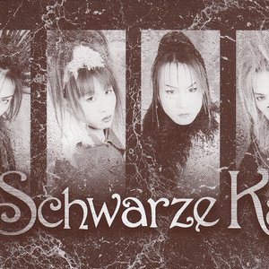Schwarze Katz 的头像