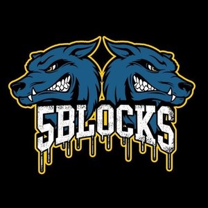 Avatar for 5 Blocks