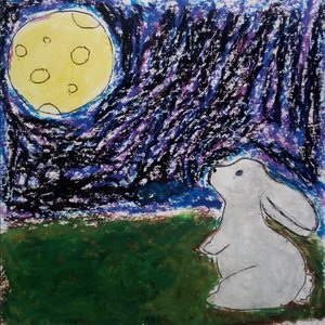 Storia di una metamorfosi ovvero quanto non mi piace essere un umano