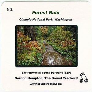 Forest Rain