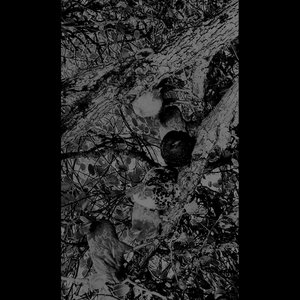 Tətsuo