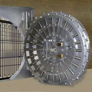 Born in a Vault