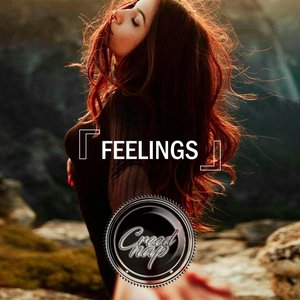 Feelings