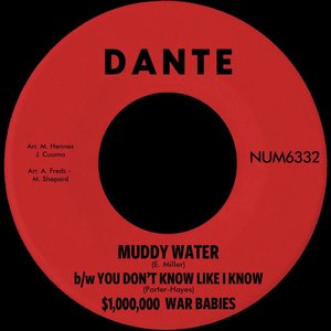Muddy Water b/w You Don't Know Like I Know