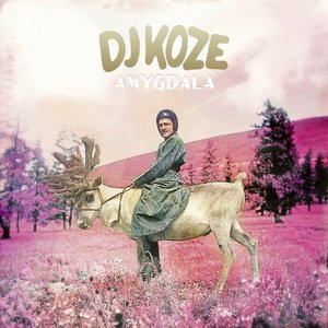 Avatar for DJ Koze ‎