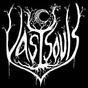 Avatar for Vast Souls