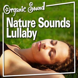 Nature Sounds Lullaby (Nature Sound)