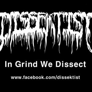 Dissektist 的头像